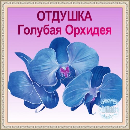 Отдушка